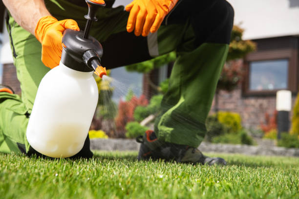 Best Commercial Pest Control Services  in Tool, TX