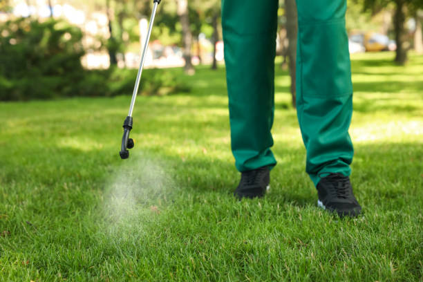 Best Bed Bug Extermination  in Tool, TX