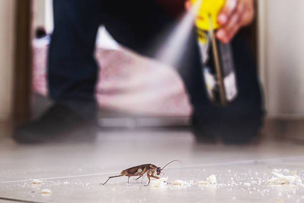 Best Cockroach Control Services  in Tool, TX