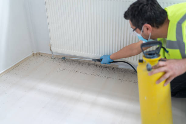 Best Local Pest Control Services  in Tool, TX