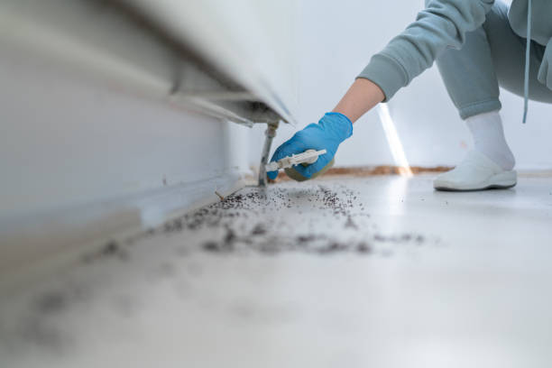 Reliable Tool, TX Pest Control Solutions