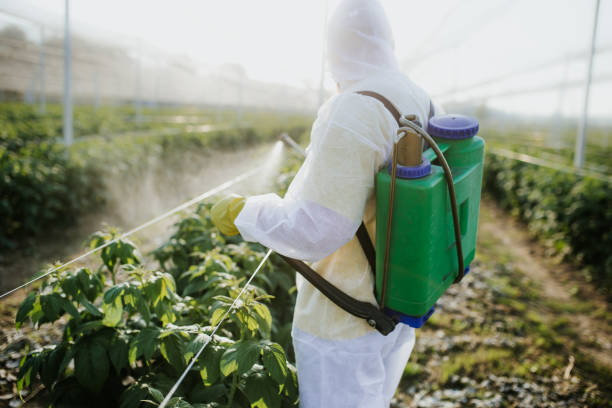 Trusted Tool, TX Pest Control Experts
